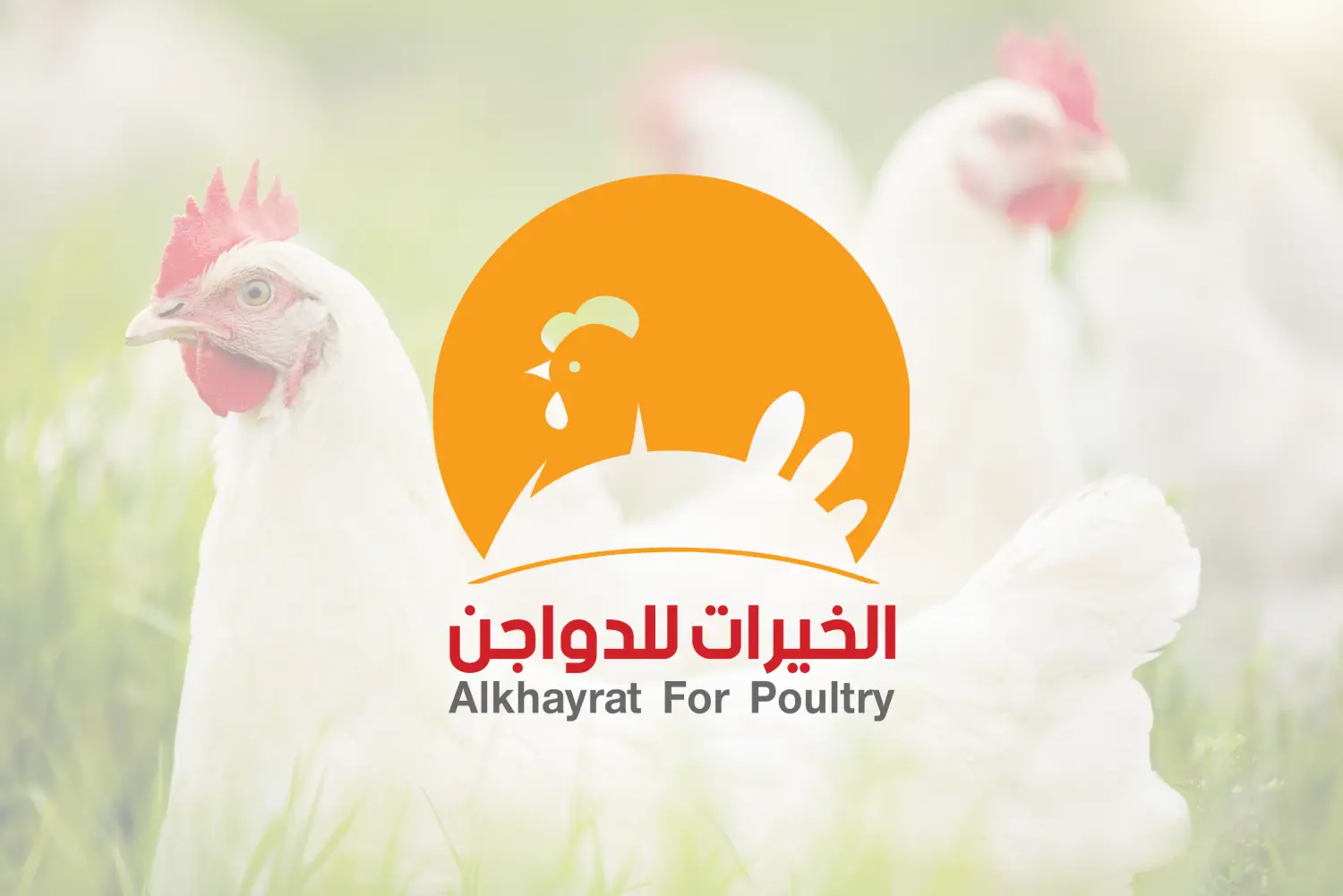 الخيرات للدواجن